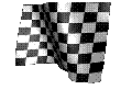 checkered_flag-1.gif